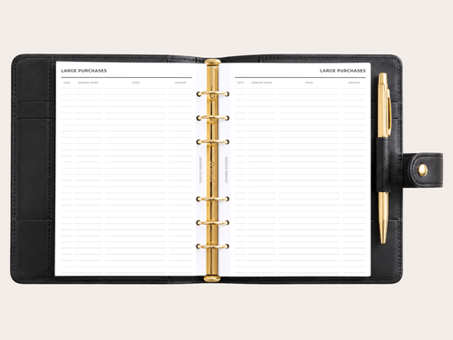 Finances - A5 Ring Planner Inserts
